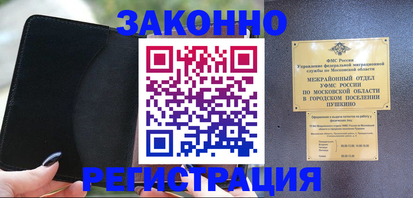 прописка поиск в Тынде